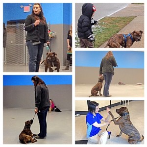 Check out some of our favorite moments from training class!